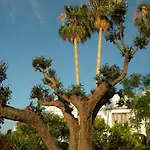 Parco Conte Hotel Casamicciola Terme