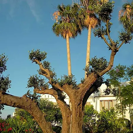 Parco Conte فندق