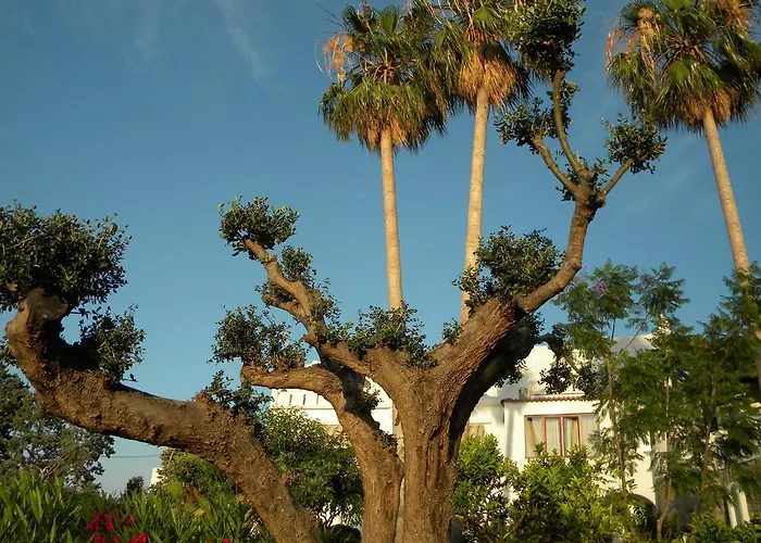 Parco Conte فندق كازاميتْشيولا تيرمي