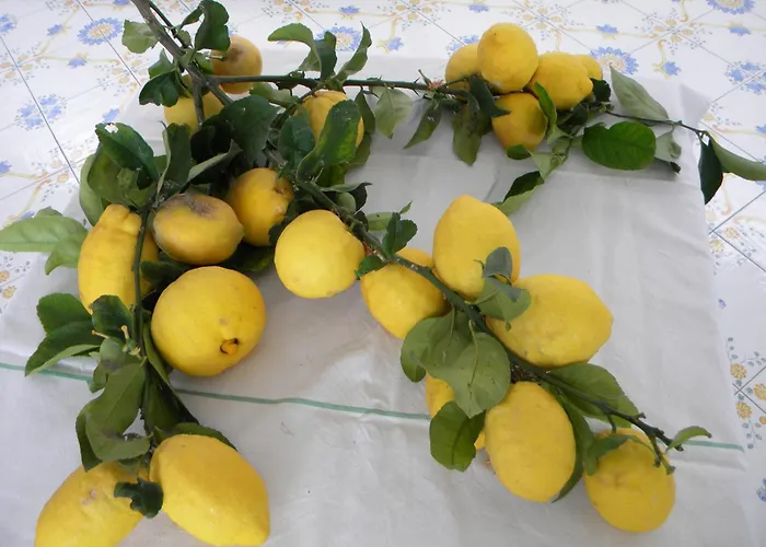 فندق Parco Conte كازاميتْشيولا تيرمي