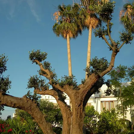 Parco Conte מלון Casamicciola Terme