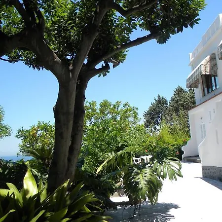 Parco Conte 3* Casamicciola Terme